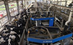 Manfrey lleva la robotización a otra escala más leche y una nueva forma de trabajar