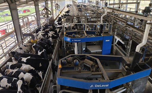 Manfrey lleva la robotización a otra escala más leche y una nueva forma de trabajar