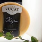 Olayón, el queso que nació en una cuenca que produce el 30% de los quesos argentinos Olayón, el queso que nació en una cuenca que produce el 30% de los quesos argentinos