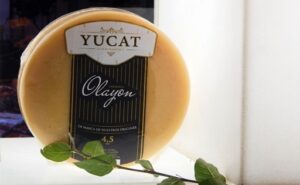 Olayón, el queso que nació en una cuenca que produce el 30% de los quesos argentinos