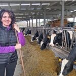 Productores españoles alertan por la presión de costos y precios estancados de la leche