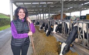 Productores españoles alertan por la presión de costos y precios estancados de la leche