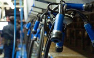 Puede subir el precio de la leche a fines de 2026 La menor oferta abre una oportunidad