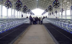 Argentina inaugura su primer sistema de ordeño robotizado exclusivo para vacas Jersey