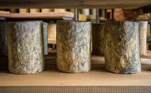 Así se elabora el mejor queso azul de España