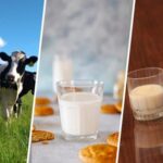 Bebidas vegetales pierden ventas y Chile busca impulsar el consumo de leche Bebidas vegetales pierden ventas y Chile busca impulsar el consumo de leche