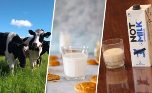 Bebidas vegetales pierden ventas y Chile busca impulsar el consumo de leche