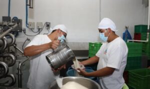 Lechería argentina: una cuenca produce casi 3 veces más leche que otra