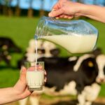 Chile: Fedeleche ve una oportunidad para la leche ante el freno de las bebidas vegetales Chile Fedeleche ve una oportunidad para la leche ante el freno de las bebidas vegetales