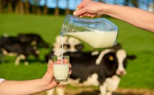 Chile Fedeleche ve una oportunidad para la leche ante el freno de las bebidas vegetales
