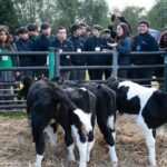Chile acerca la lechería a más de 300 estudiantes ante el desafío del recambio generacional
