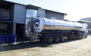 Chile la recepción de leche crece 4,8%, con Colun y Soprole a la cabeza
