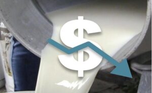 Colombia la leche cae hasta 14% en Arauca y baja a COP 1.700 por litro