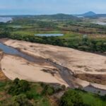 Colombia la sequía reduce la producción de leche y golpea a los ganaderos de Magdalena