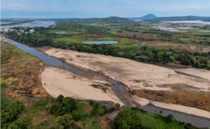 Colombia la sequía reduce la producción de leche y golpea a los ganaderos de Magdalena
