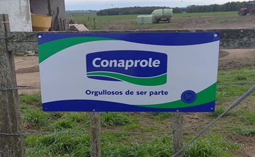 Conaprole proyecta mantener el precio de la leche al productor hasta octubre-noviembre