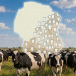 Córdoba: tres departamentos concentran el 70% de la producción de leche Córdoba tres departamentos concentran el 70% de la producción de leche