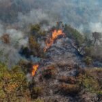 El Niño y los incendios golpean a la ganadería de Colombia pérdidas superan los $75.000 millones