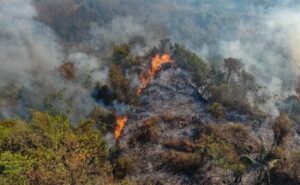 El Niño y los incendios golpean a la ganadería de Colombia pérdidas superan los $75.000 millones