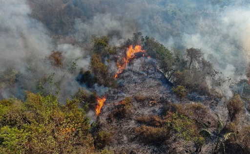 El Niño y los incendios golpean a la ganadería de Colombia pérdidas superan los $75.000 millones