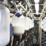 España productores reclaman recuperar 7 céntimos por litro ante la suba de costos
