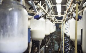España productores reclaman recuperar 7 céntimos por litro ante la suba de costos