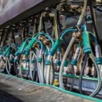 Galicia: FRUGA denuncia rebajas de 8 céntimos en el precio de la leche Galicia FRUGA denuncia rebajas de 8 céntimos en el precio de la leche