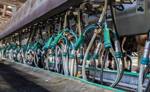 Galicia FRUGA denuncia rebajas de 8 céntimos en el precio de la leche