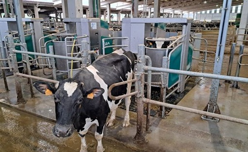 Galicia produce el 40% de la leche de España, pero recibe €0,444 por litro