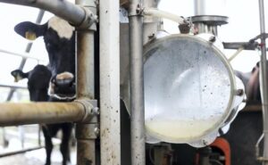Las 20 mayores lácteas del mundo ya facturan US$ 267.000 millones