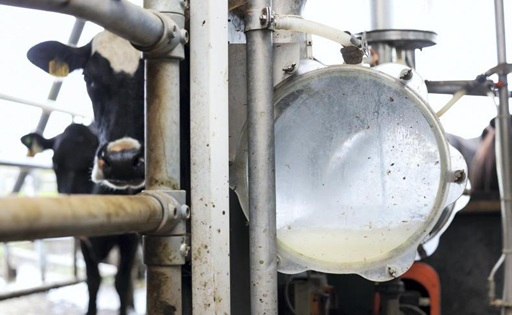 Las 20 mayores lácteas del mundo ya facturan US$ 267.000 millones