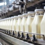 Leche barata y lácteos caros la paradoja que enfrenta la industria argentina
