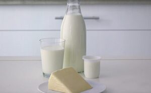 Leche, yogur y queso qué beneficios nutricionales destaca un informe científico