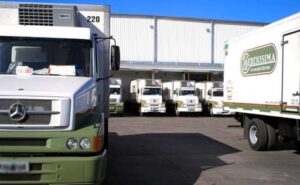 Mastellone cuadruplicó sus pérdidas el consumo de lácteos cayó 10,3% en Argentina