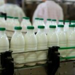 Perú productores advierten que un cambio en la leche evaporada podría afectar la demanda de leche fresca