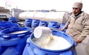 Productores de leche plantean subir el precio 40% ante el alza del diésel