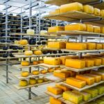 Radiografía del queso uruguayo: del oro en Brasil a las rutas que cuentan el territorio Radiografía del queso uruguayo del oro en Brasil a las rutas que cuentan el territorio