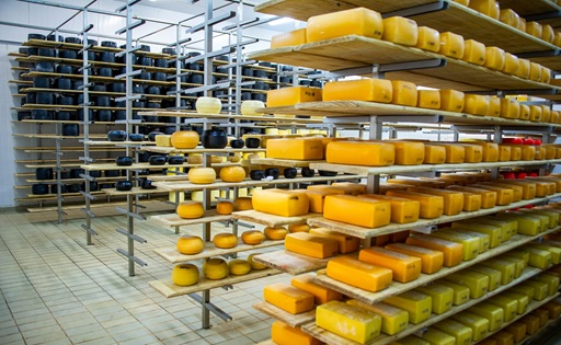 Radiografía del queso uruguayo del oro en Brasil a las rutas que cuentan el territorio