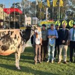 Uruguay: San Alberto se quedó con la Gran Campeona Suprema Holando en el Prado Uruguay San Alberto se quedó con la Gran Campeona Suprema Holando en el Prado