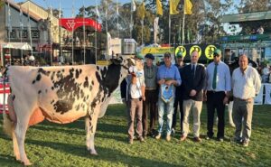 Uruguay San Alberto se quedó con la Gran Campeona Suprema Holando en el Prado