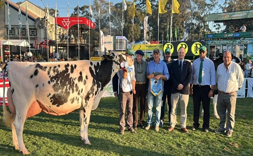 Uruguay San Alberto se quedó con la Gran Campeona Suprema Holando en el Prado