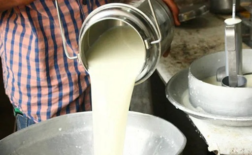 Uruguay acelera la producción de leche crece 10,5% y apunta a un nuevo récord