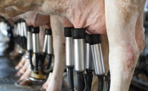 Uruguay baja el costo eléctrico productores de leche tendrán hasta 80% de descuento