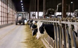 produccion-lactea-lecheria-manejo-genetica-animal-nutricion-animal