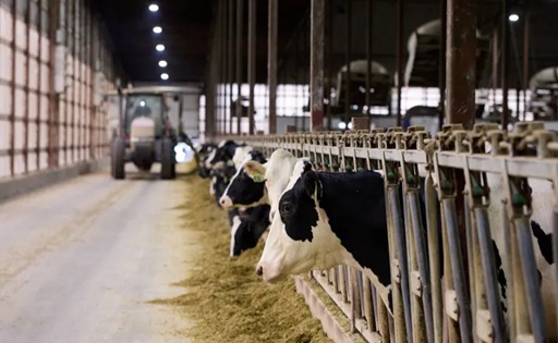 produccion-lactea-lecheria-manejo-genetica-animal-nutricion-animal
