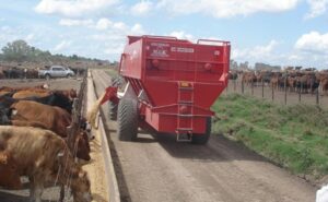 Argentina la cadena láctea mueve US$13.000 millones y sostiene 200.000 empleos