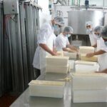 Argentina produce más leche, pero la industria mira cuánto valor obtiene de cada litro Argentina produce más leche, pero la industria mira cuánto valor obtiene de cada litro
