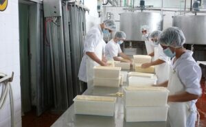 Argentina produce más leche, pero la industria mira cuánto valor obtiene de cada litro