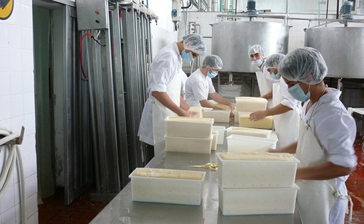 Argentina produce más leche, pero la industria mira cuánto valor obtiene de cada litro