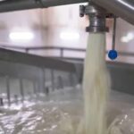 Brasil rompe récord de leche 36.700 millones de litros y más productividad por vaca